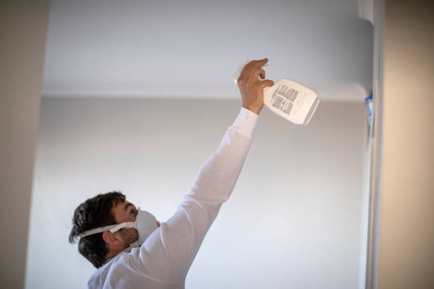 Best Post-Flood Mold Remediation in Jonesboro, IN